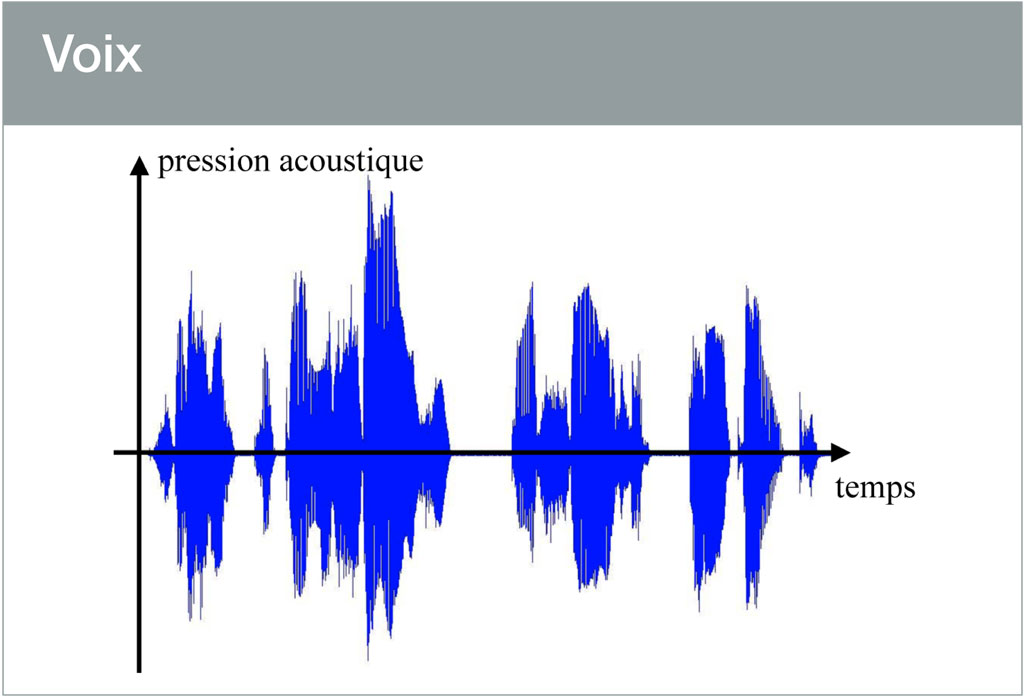 voix.jpg