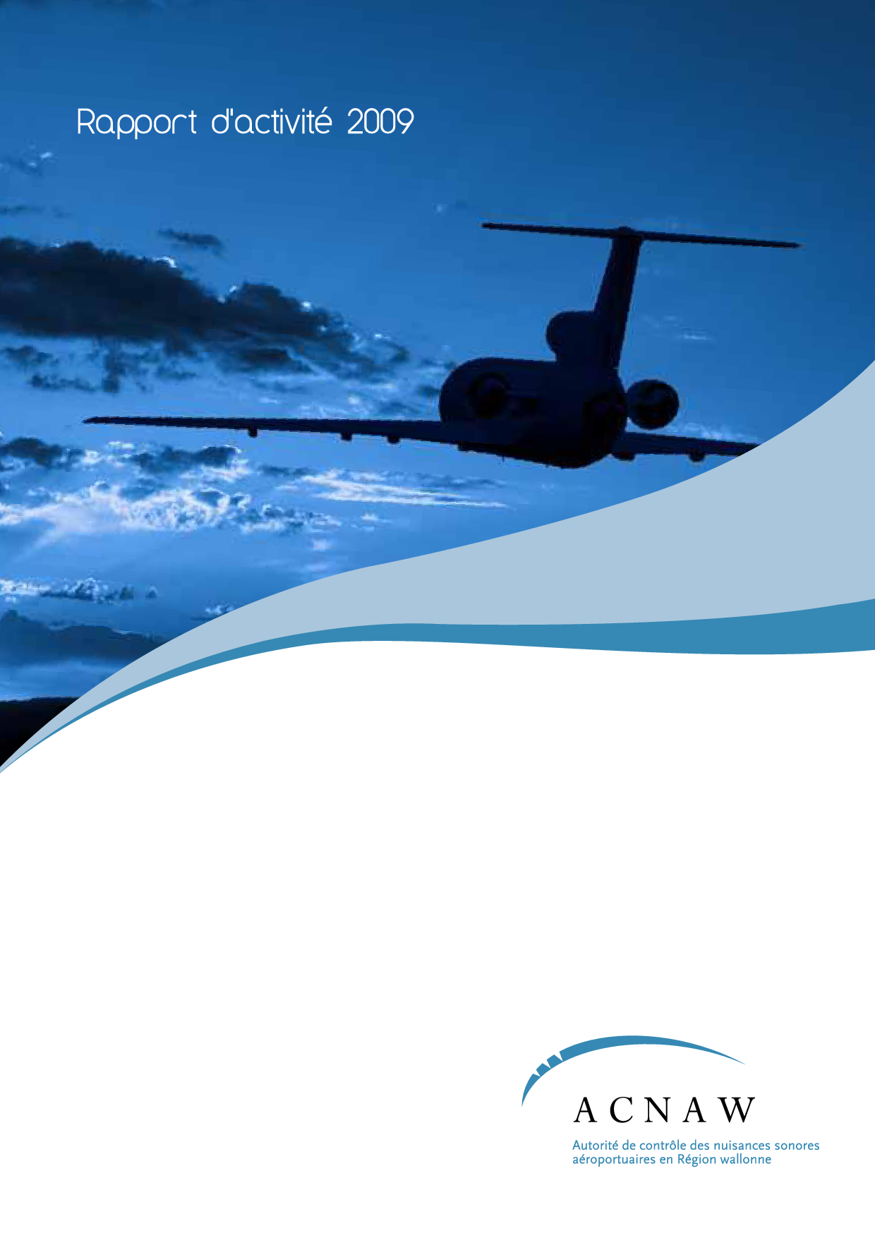 Rapport d'activité 2009