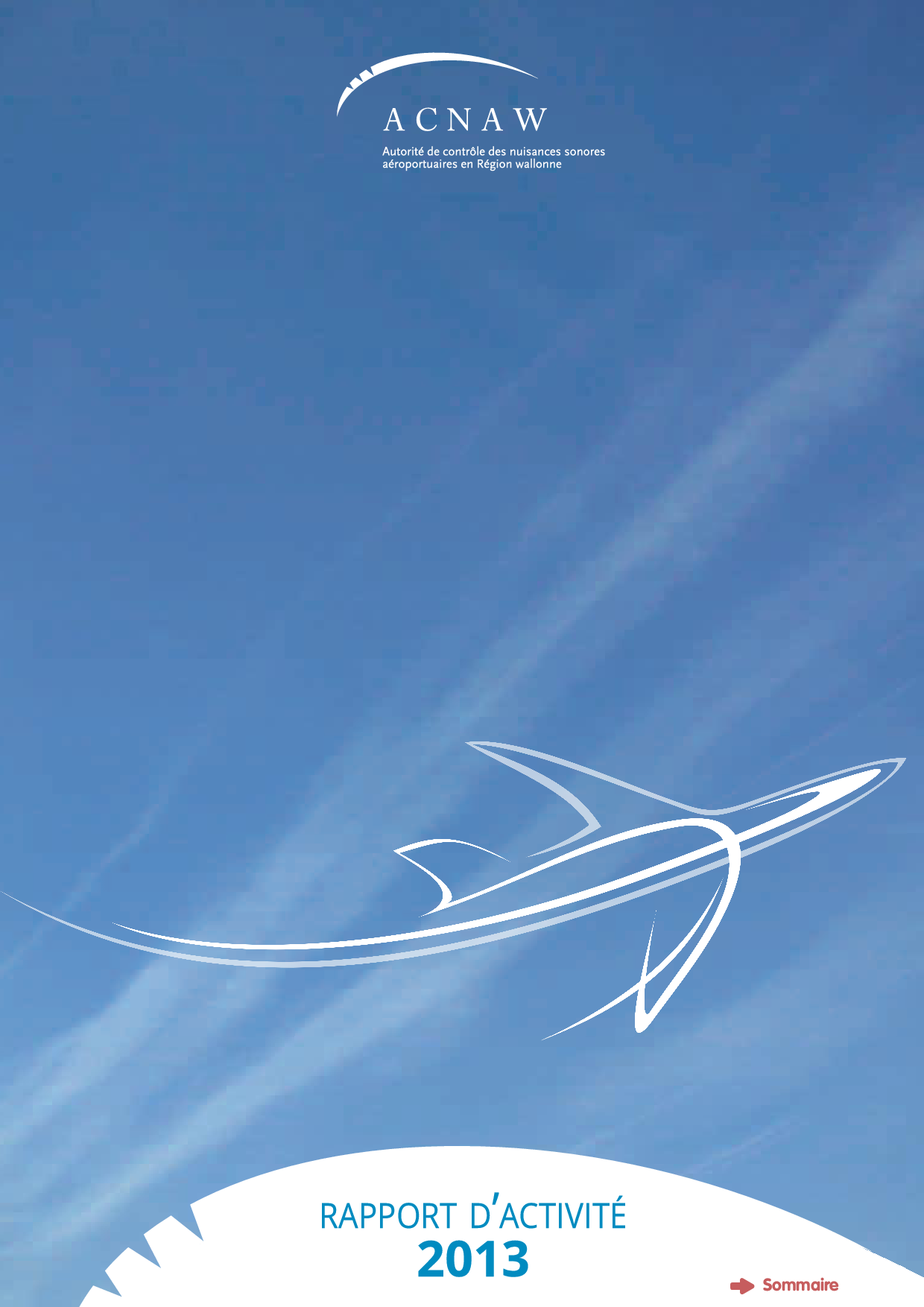 Rapport d'activité 2013