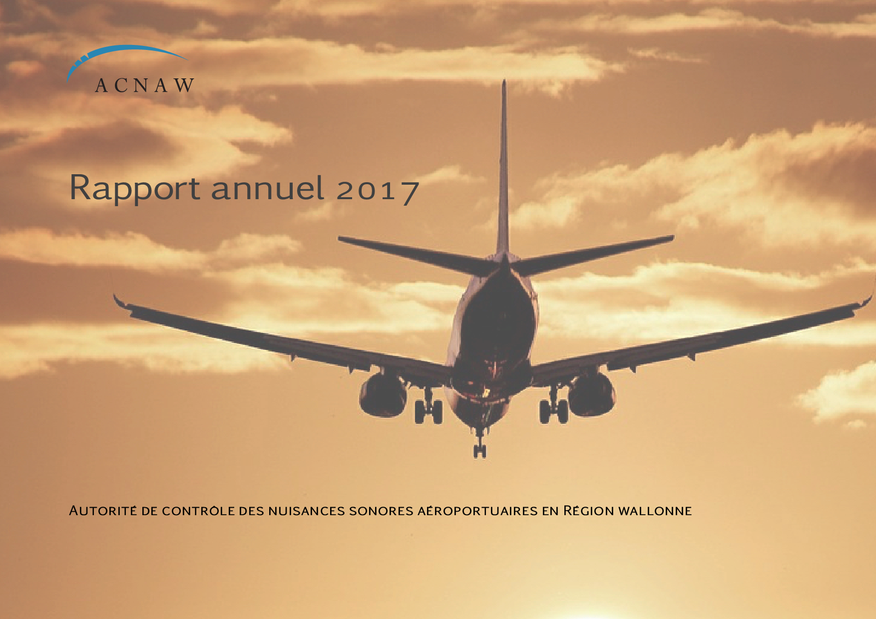 Rapport d'activité 2017