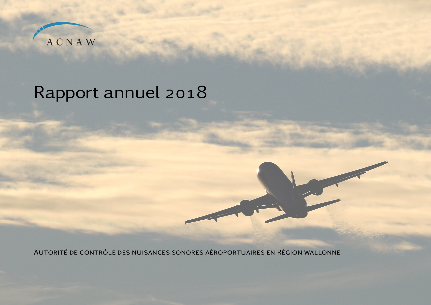 Rapport d'activité 2018